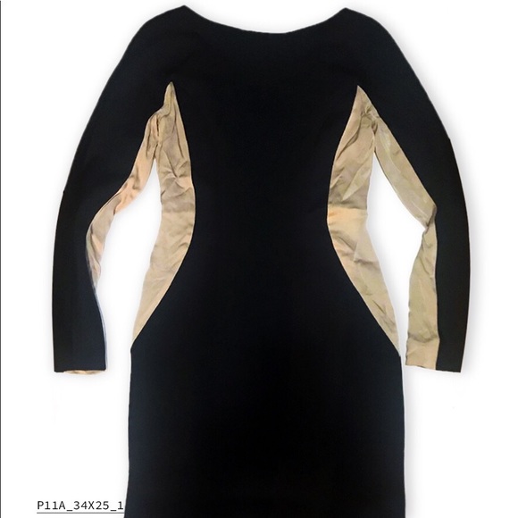 S.Nine Silk and Spandex Mini Dress - Picture 1 of 2